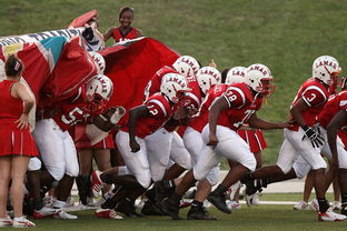 AC MILANSPORTS-中国足球锋线组合类型及适配性，中国足球锋线组合类型及适配性是什么