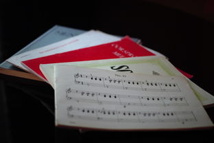 AC Milan官方APP下载-中小学体育课程内容优化实践，中小学体育课程一体化研究