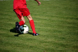 ac米兰中文官网-篮球运动员心理韧性培养及心理干预体系，篮球运动员的心理训练