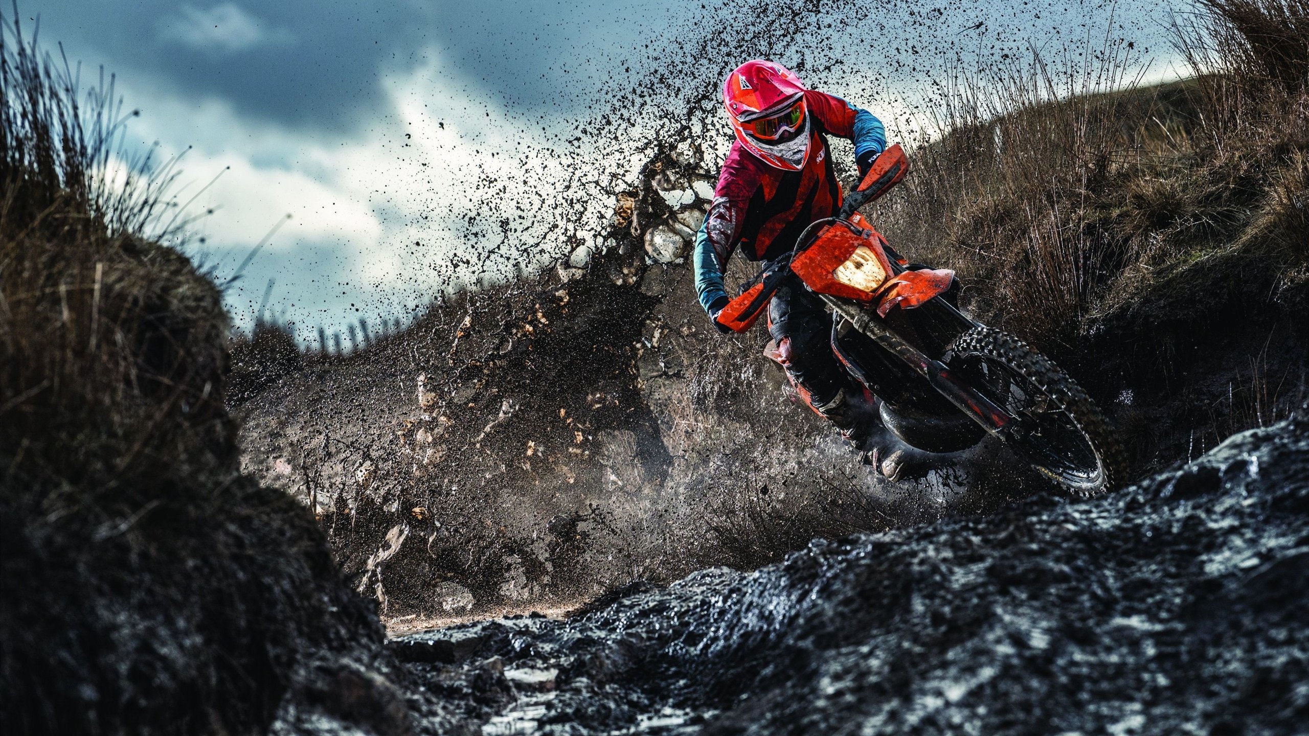 篮球联盟商业收入分析